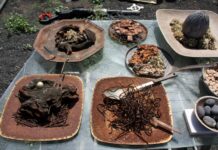 Noss Künstler in Lanzarote Noss Künstler in Lanzarote – Foto 50