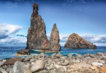 Madeira Form und Schönheit Madeira Form und Schönheit – Foto 100