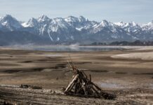 Am Forggensee Am Forggensee – Foto 2