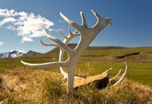 Islandreise Islandreise – Foto 193