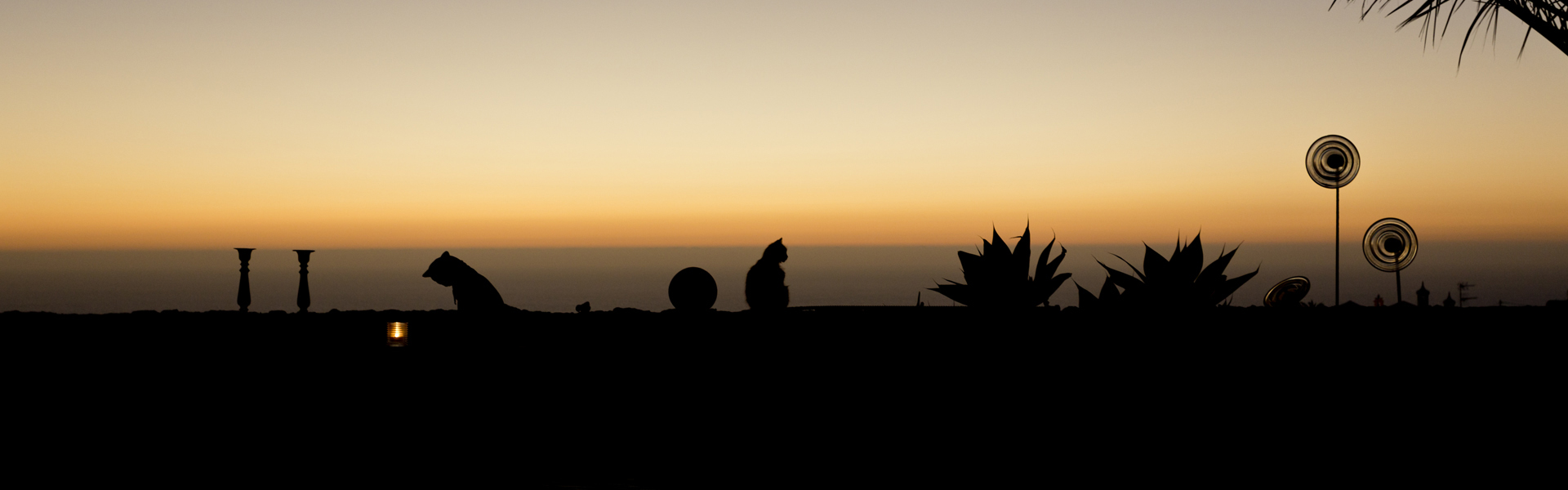 Titelbild: Lanzarote