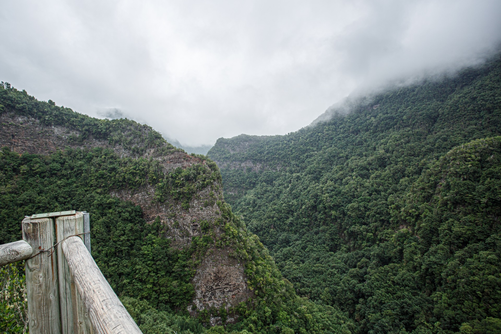 La Palma Der Lorbeerwald – Foto 21